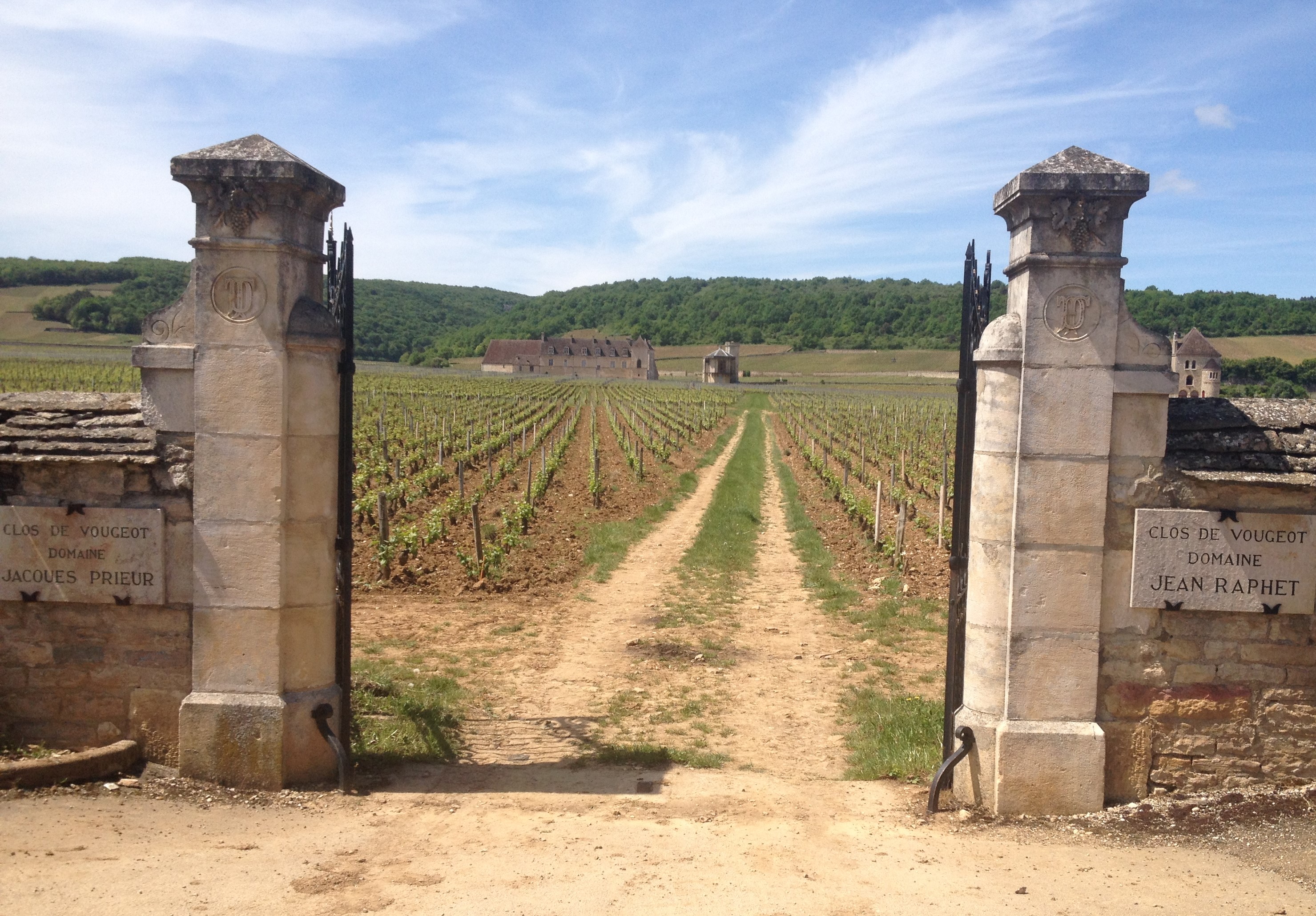 Economiser - petit cochon tirelire